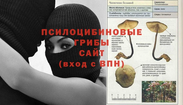 гашик Баксан
